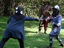 fencing28