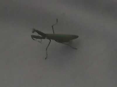 Photo_082005_004