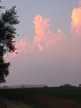 Picture 014