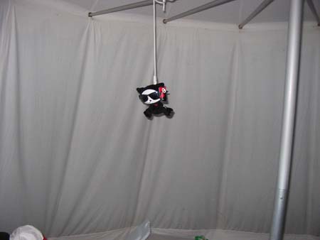 Picture 035